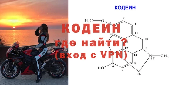амф Россошь