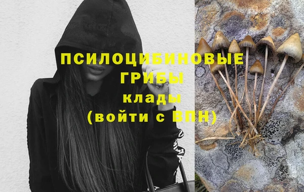 MDMA Premium VHQ Белокуриха