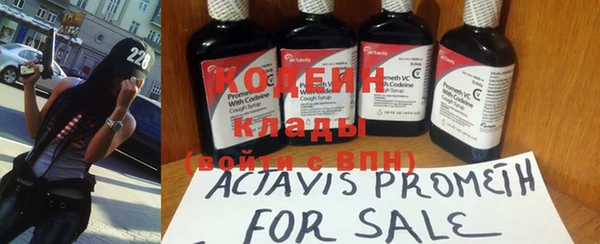 амф Россошь